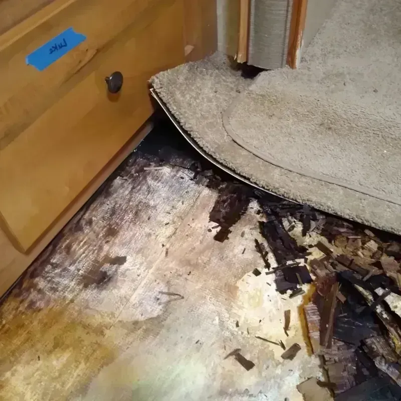 Wood Floor Water Damage in Elbow Lake, MN